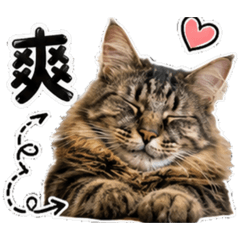 一鍵回4
