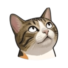 brownie cat color 4