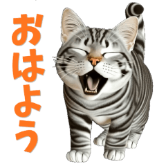 Silver Tabby Cat No.2