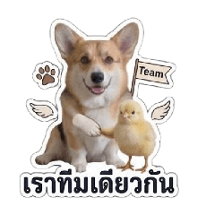 Pumpuiland_20260724153613