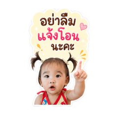 Pipie_20260724174716