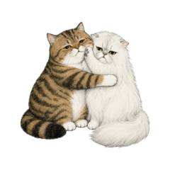 Kin & Moet: Funny Cat Life
