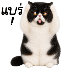The Mischievous Little Cat 2