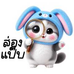 Cute little cat, bunny hat