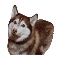 himarmo_20260731181032