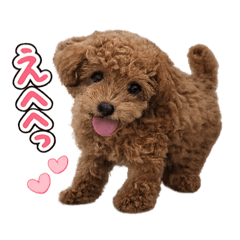 MOE_20260731180039