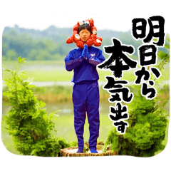 Soramamecocco_20260731180356