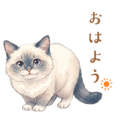 rui_20260731180215