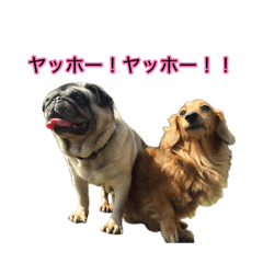 masayoshi hara_20260731182211