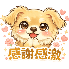 shoji_20260731174731