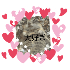 せいゆう！！