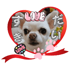 yuka_20260731214137