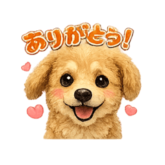 Fluffy Dog's  Daily Life