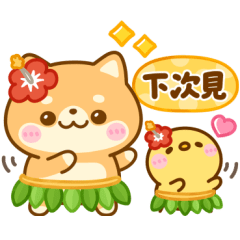 全螢幕♡ 豆柴日和  夏日篇