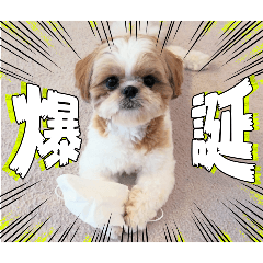 Momo_20260731232022