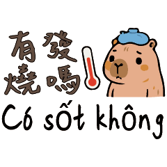 3Capybara Sick Care Handbook