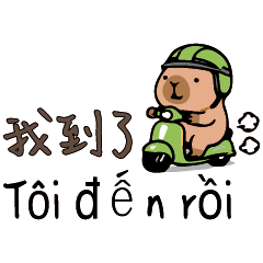 1Capybara Work Report Guide
