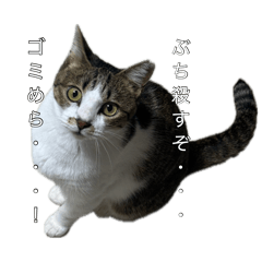 chankonabe_20260801002431