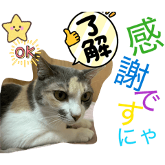 JNA_20260801061116