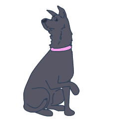 Calming signals of timid dog
