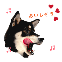 yucha_20260801101451