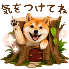Nichijo Mainichi_shibainu