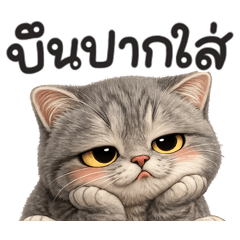 เหมียว ตากลมโต