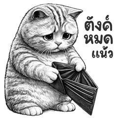 แมวสลิด ขาวดำ