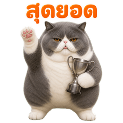 กุ๊บกิ๊บ แมวอ้วนหน้าบึ้ง❤️