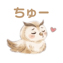 owlowl_20260801132024