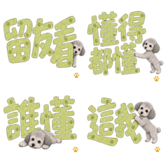 HAURU|懶得打字,叫HAURU回 (中文)