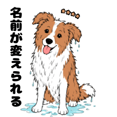 名前入りボーダーコリーレッド②