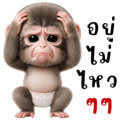 น้องลิงแพมเพิส (บิ๊กสติกเกอร์)