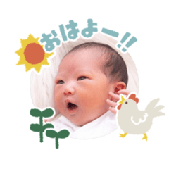 risa_20260801171039