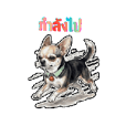 สุนัข