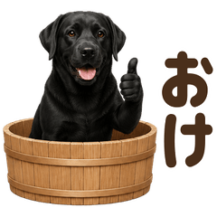 ダジャレ！ ラブラドールレトリバー 黒