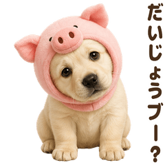 ダジャレ！ ラブラドールレトリバー 子犬