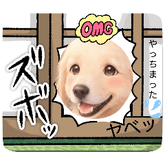 mahiro22_20260801172211