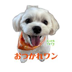HAPPY_20260801175032