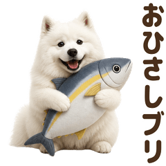 ダジャレ！ サモエド