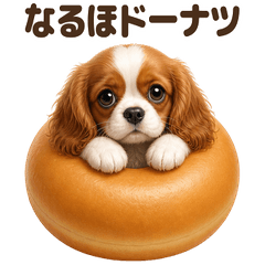 ダジャレ！ キャバリア