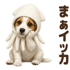 ダジャレ！ ジャックラッセルテリア 子犬