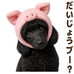 ダジャレ！ スタンダードプードル