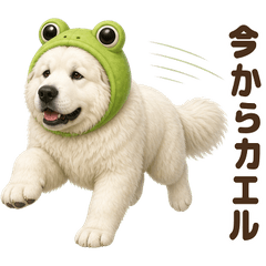 ダジャレ！ グレートピレニーズ