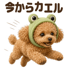 ダジャレ！ トイプードル
