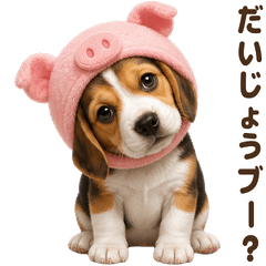 ダジャレ！ ビーグル 子犬