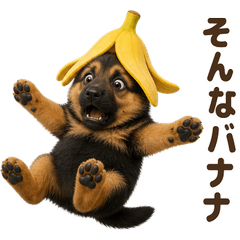 ダジャレ！ ジャーマン・シェパード 子犬