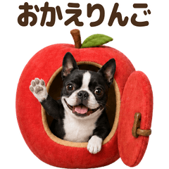 ダジャレ！ ボストンテリア