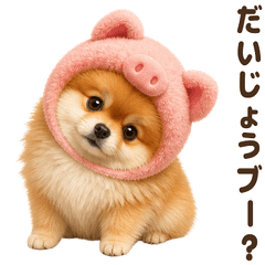 ダジャレ！ ポメラニアン