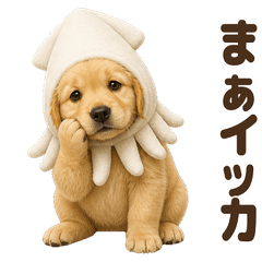 ダジャレ！ ゴールデンレトリバー 子犬